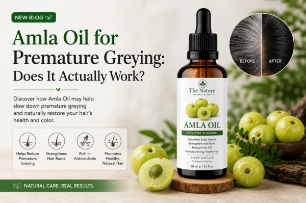 Blog banner featuring The Nature Amla Oil bottle, fresh amla fruits, and a guide on whether amla oil helps reduce premature greying.